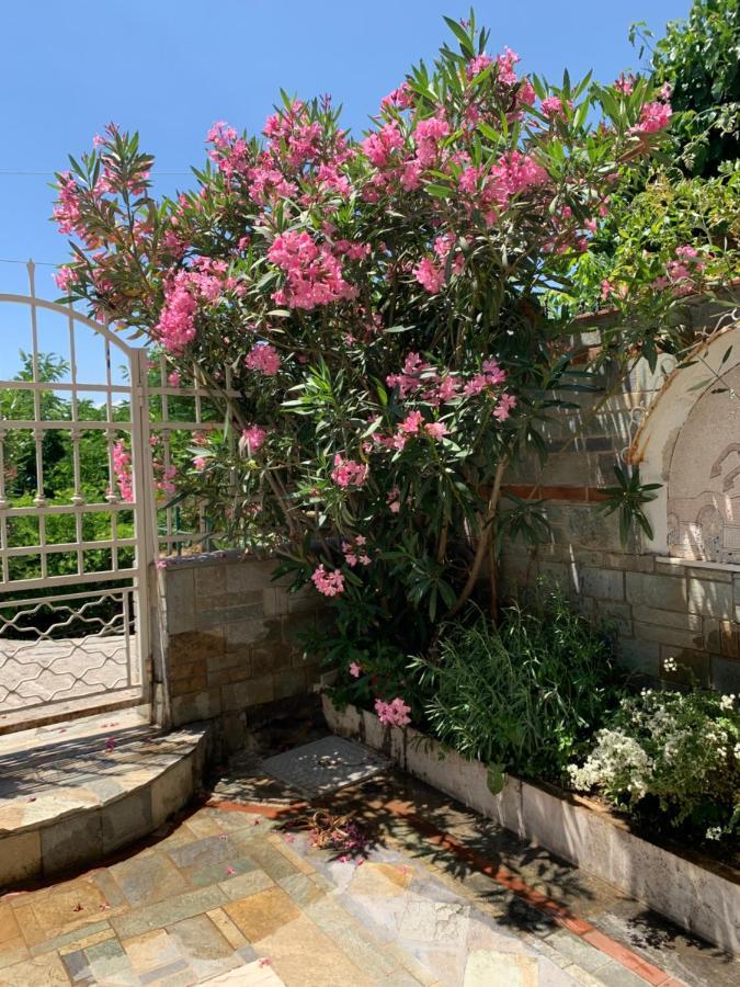 Gemuetliches Appartement In Ano Poli Soluň Exteriér fotografie